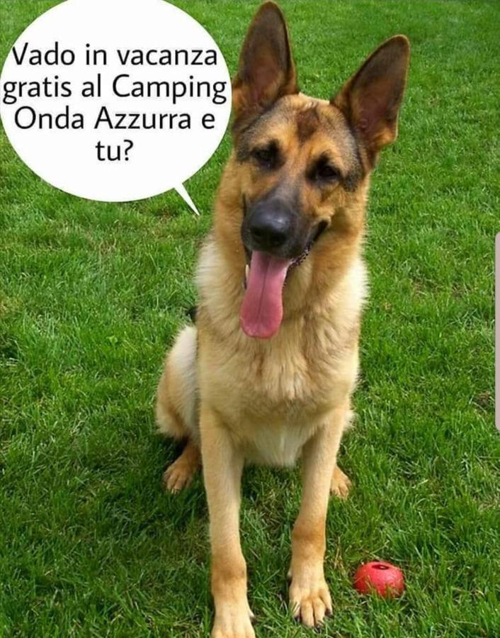 Camping Onda Azzurra 호텔 오르토나 외부 사진