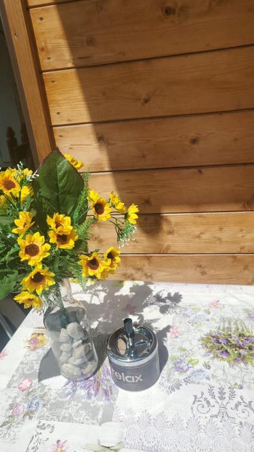 Camping Onda Azzurra 호텔 오르토나 외부 사진