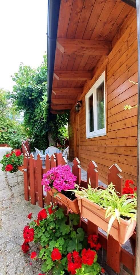Camping Onda Azzurra 호텔 오르토나 외부 사진